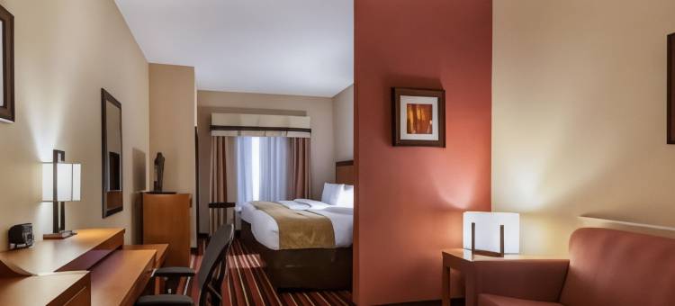 萨尔弗 - 查尔斯湖舒适套房酒店(Comfort Suites Sulphur-Lake Charles)图片