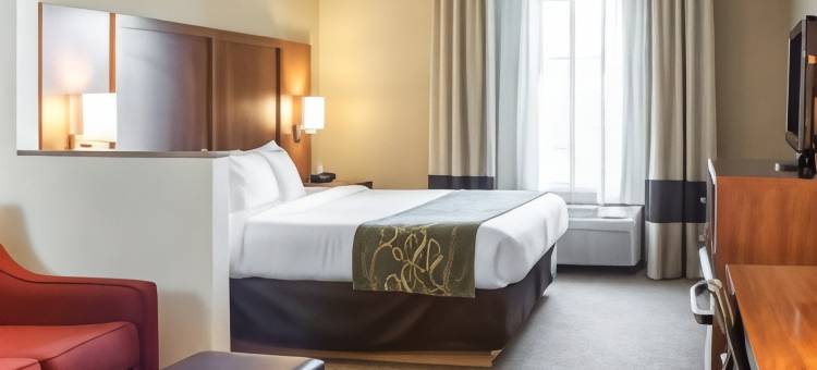 机场舒适套房酒店(Comfort Suites Airport)图片