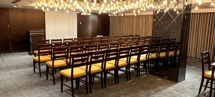 伦德里纳酒店(Londrina Hotel)图片
