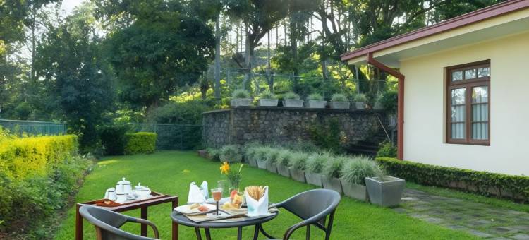 橄榄平房(Olive Bungalow)图片