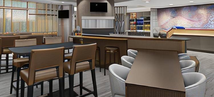 SpringHill套房由万豪酒店 东拉瑟福德梅多兰/卡尔斯塔特(SpringHill Suites East Rutherford Meadowlands/Carlstadt)图片