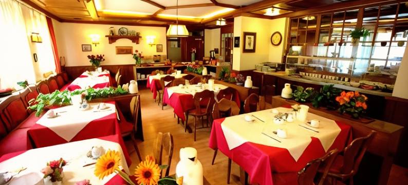 机场瓦尔多夫酒店(Airport Hotel Walldorf)图片