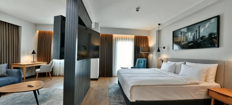 梅尔辛丽笙酒店(Radisson Hotel Mersin)图片