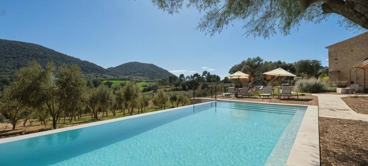 特雷尔橄榄园及大宅 - 限成人(Fincahotel Treurer - Olive Grove & Grand House - Adults Only)图片