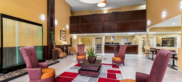 品质酒店及套房机场北 - 石橡树(Quality Inn & Suites Airport North - Stone Oak)图片