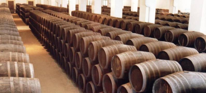 贝利多旅馆(Hostal Bellido)图片