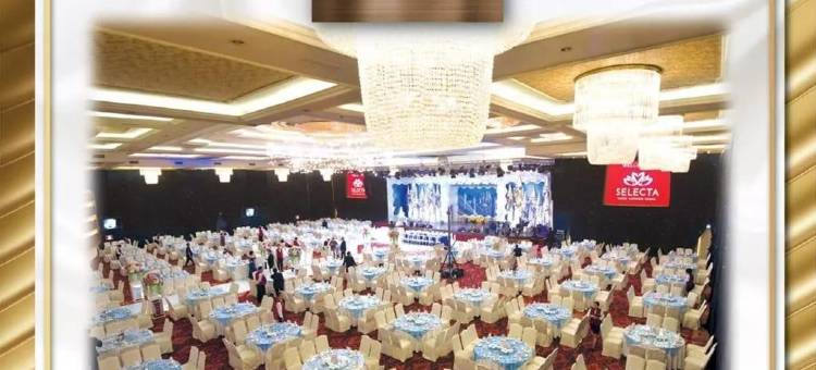 SELECTA酒店-棉兰(SELECTA HOTEL MEDAN)图片