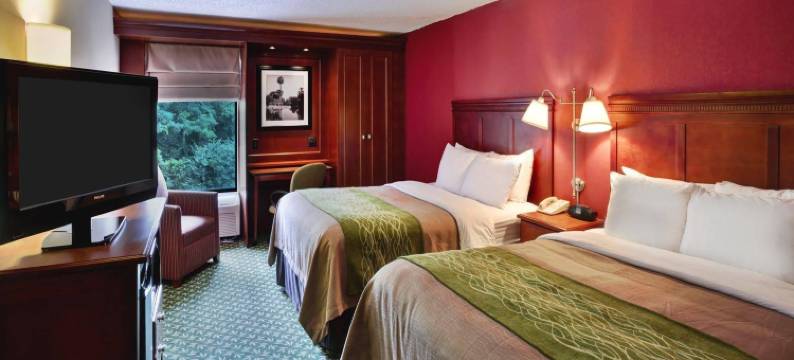 牛津舒适酒店(Comfort Inn Oxford - University Area)图片