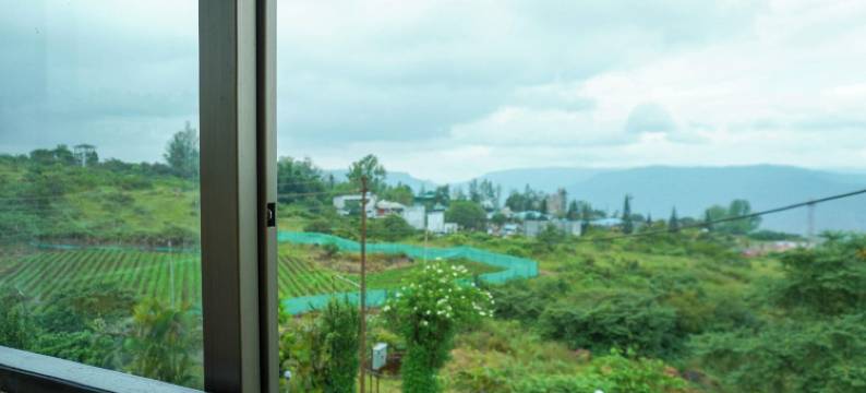 森林叶(Hotel Forest Leaf)图片