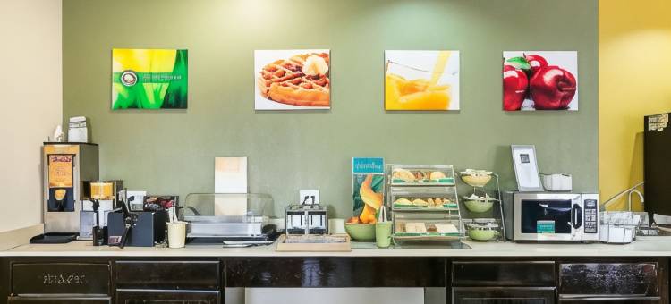 品质酒店及套房-近I-80和I-294(Quality Inn & Suites Harvey - Chicago Southland)图片