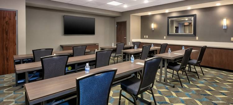 北安阿伯万豪 Residence Inn 酒店(Residence Inn Ann Arbor North)图片