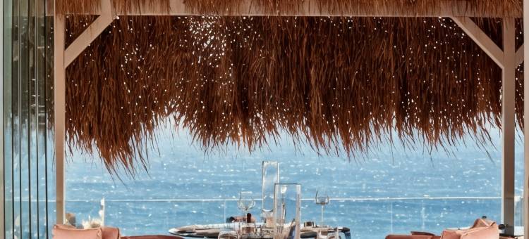 麦肯尼亚别墅精选(Myconian Villa Collection - Preferred Hotels & Resorts)图片