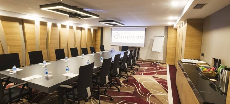 特拉布宗德德曼公寓酒店(Park Dedeman Trabzon)图片