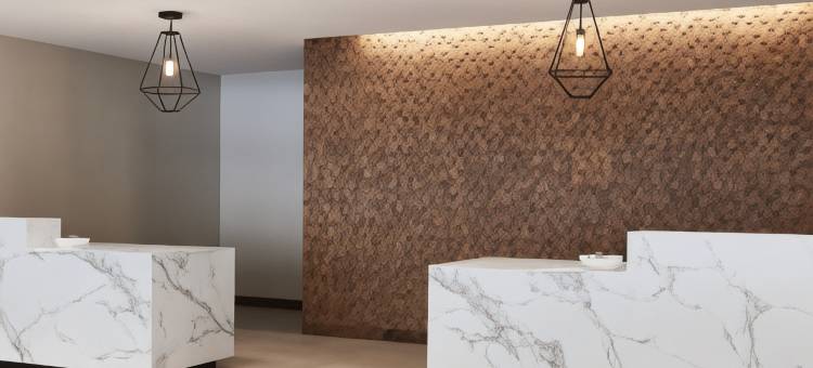 Residence Inn Dallas by the Galleria图片