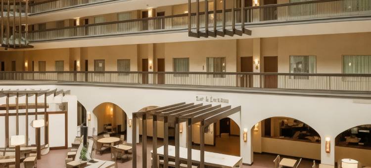 达拉斯爱田希尔顿大使套房酒店(Embassy Suites by Hilton Dallas Love Field)图片