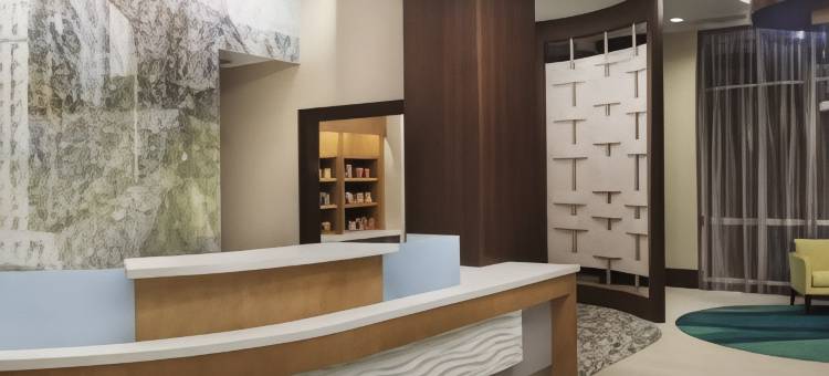 休斯顿市中心/会议中心万豪SpringHill Suites 酒店(SpringHill Suites Houston Downtown/Convention Center)图片