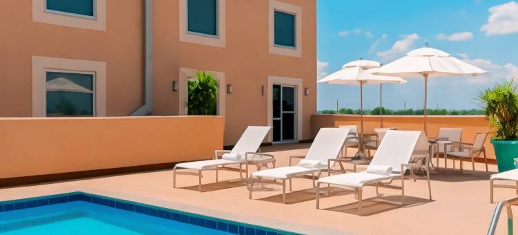 梅泰里新奥尔良喜来登酒店(Sheraton Metairie - New Orleans Hotel)图片