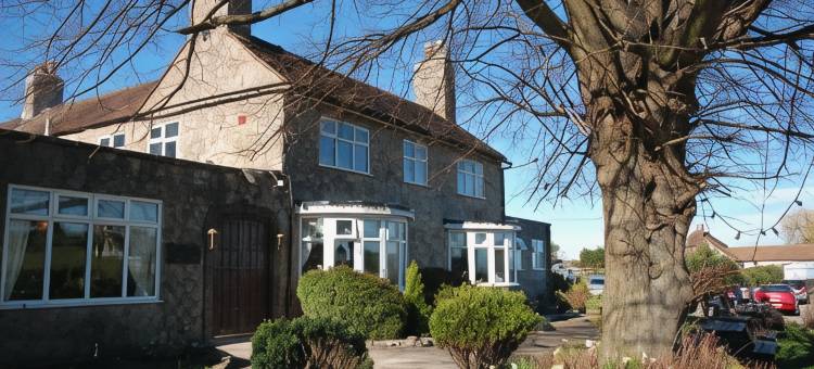 道恩旅馆(The down Inn)图片