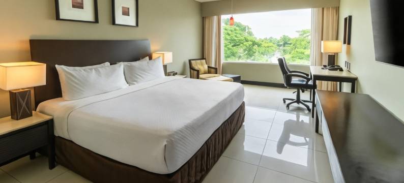 Crowne Plaza 比亚埃尔莫萨(Crowne Plaza VILLAHERMOSA by IHG)图片