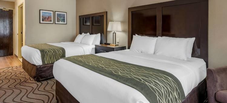舒适套房酒店(Comfort Inn & Suites)图片