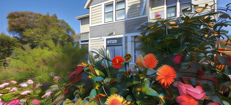 楠塔基特鲸鱼旅馆(Nantucket Whale Inn, Half Moon Bay)图片