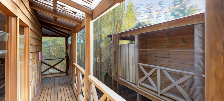 摇篮森林旅馆(Cradle Forest Inn)图片