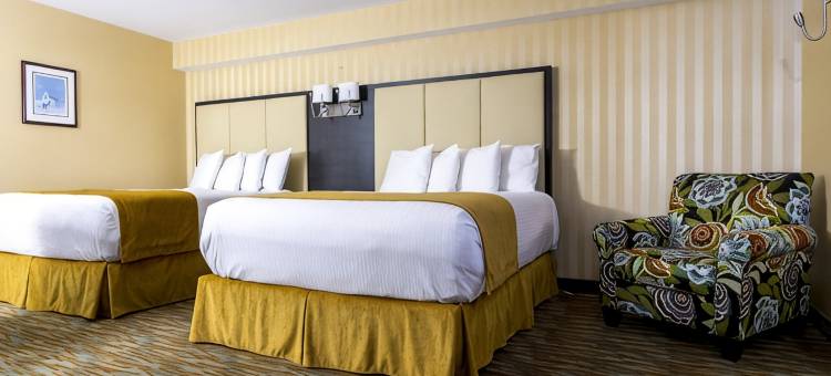 辛巴达斯套房酒店(Sinbads Hotel & Suites)图片