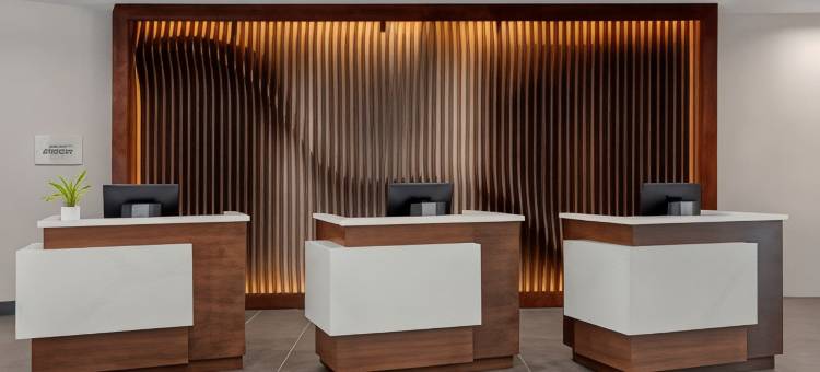 阿伦敦利哈伊谷德尔塔酒店(Delta Hotels by Marriott Allentown Lehigh Valley)图片