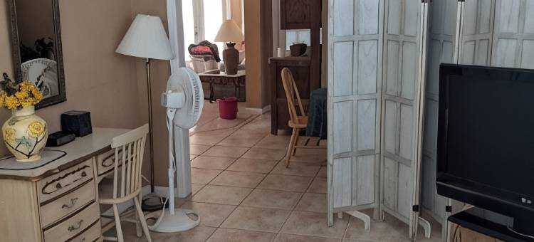 Pet Friendly Luxury St Petersburg Home Monthly Rental or Less图片