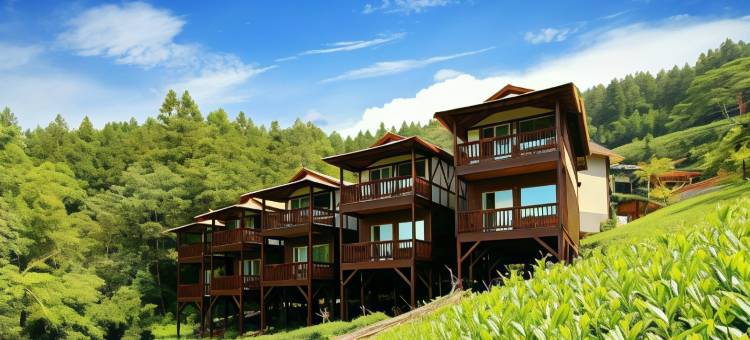 嘉义掌声响起民宿图片