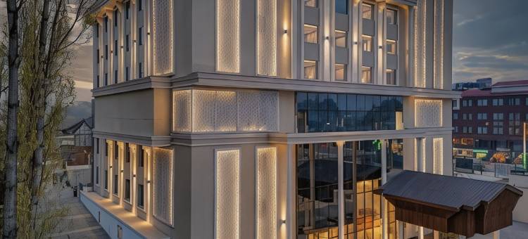 温德姆华美达安可拉杰巴格斯里纳格酒店(Ramada Encore by Wyndham Rajbagh Srinagar)图片