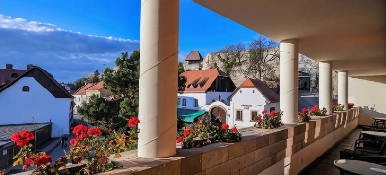 伊莫拉乌德法尔哈兹酒店(Imola Udvarház Dessert Hotel)图片