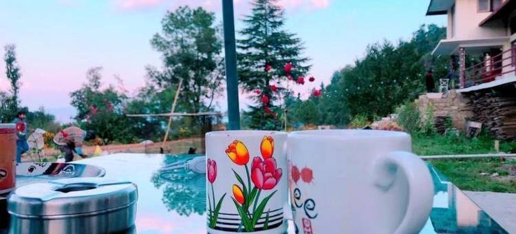 BN度假村(BN Resort)图片