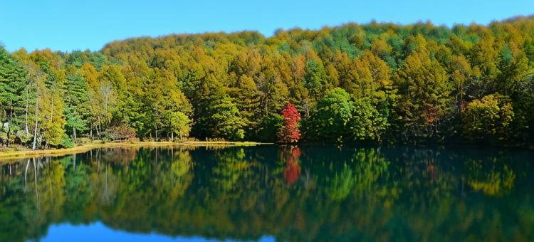 車山高原悠莱旅馆(Kurumayama Kogen Guesthouse Urara)图片
