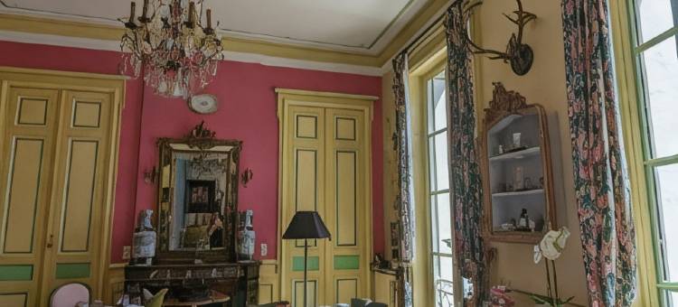 加克兵城堡酒店(Hôtel Château des Jacobins)图片