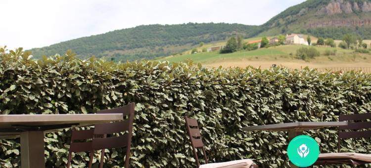 米洛康铂酒店(Campanile Millau)图片