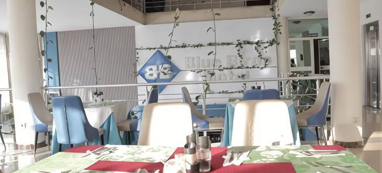 蓝鸟国际酒店(Blue Birds International Hotel)图片