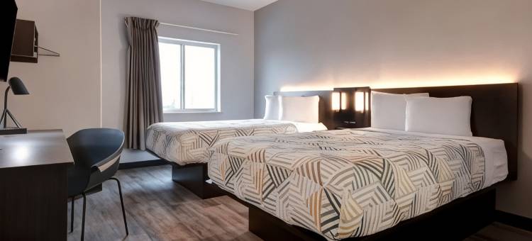 德克萨斯法尔 6 号汽车旅馆(Motel 6 Pharr, TX)图片