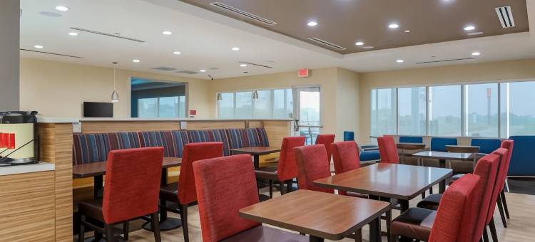 麦克阿伦爱丁堡TownePlace套房酒店(TownePlace Suites McAllen Edinburg)图片