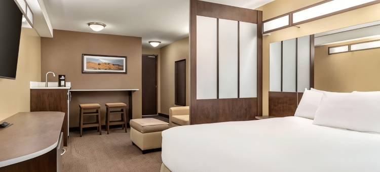 埃斯特万麦客达套房酒店(Microtel Inn & Suites by Wyndham Estevan)图片