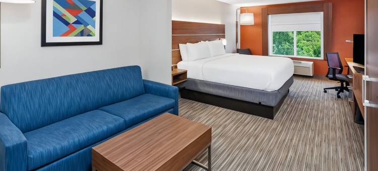 智选假日套房酒店芝加哥南兰辛(Holiday Inn Express & Suites Chicago South Lansing)图片