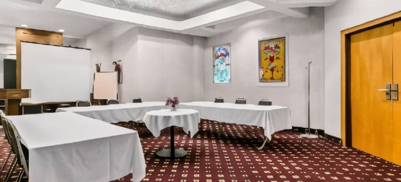 萨德伯里市中心森的特维尔贝斯特韦斯特酒店(Best Western Downtown Sudbury Centreville)图片