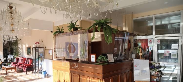 黛西高级酒店(Daisy Superior)图片