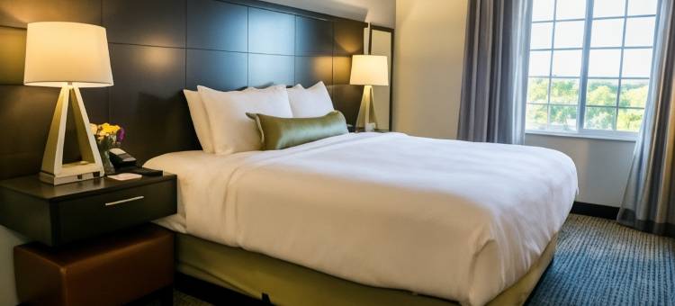 Staybridge Suites 奥斯汀(I - 35北)(Staybridge Suites Austin North - Parmer Lane)图片