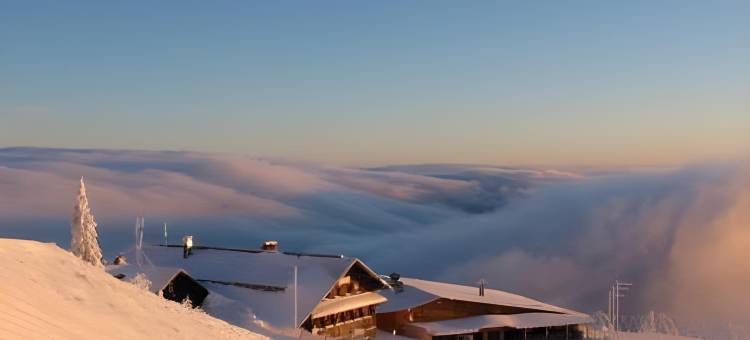 拥有花园的巴伐利亚艾森施泰因公寓(Wohnung in Bayerisch Eisenstein Mit Garten)图片