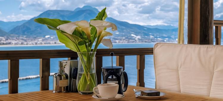 图卡别墅酒店(Hotel Villa Turka)图片