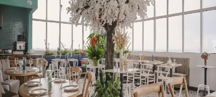 拉迪森个人会员法兰达集合的巴兰基亚(Faranda Collection Barranquilla, a Member of Radisson Individuals)图片