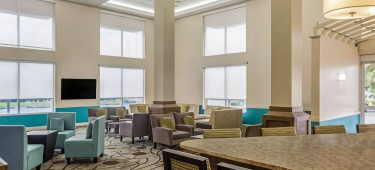 萨拉索塔 I75 舒适套房酒店(Comfort Inn & Suites Sarasota I75)图片