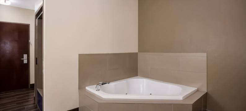 米德威-西塔拉哈西舒适套房酒店(Comfort Inn & Suites Midway - Tallahassee West)图片