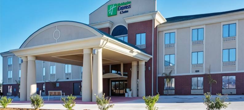 智选假日套房酒店沃勒 by IHG(Holiday Inn Express & Suites WALLER - PRAIRIE VIEW by IHG)图片